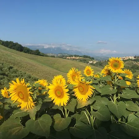 Casa Belfi * Castilenti