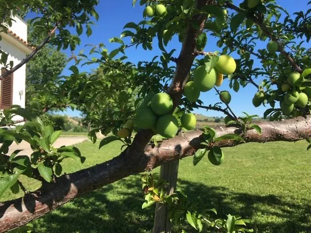 Casa Belfi * Castilenti