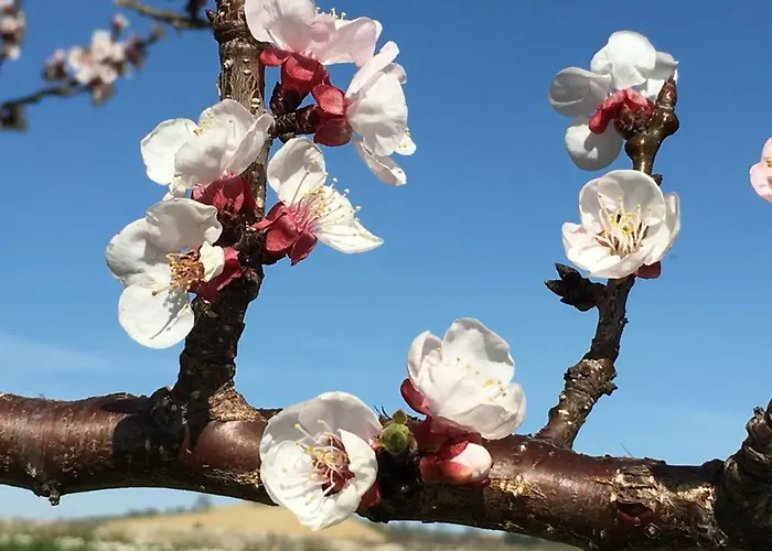 Casa Belfi Апартаменты