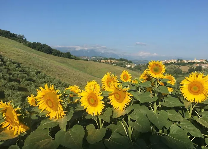 Casa Belfi * Castilenti
