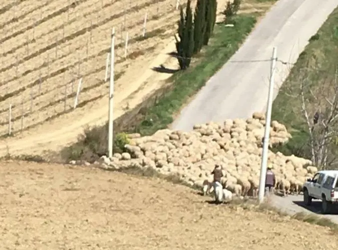 Casa Belfi Апартаменты *